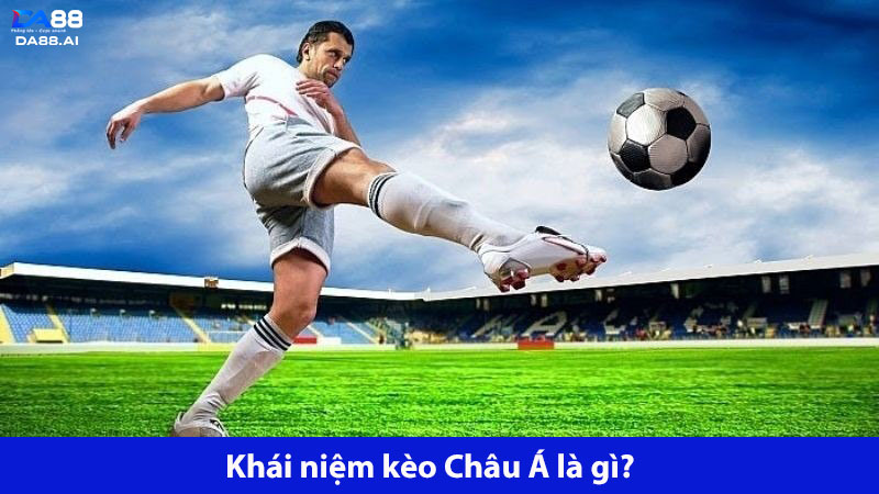 Kèo Châu Á là gì? Đây là kiểu kèo bóng đá phổ biến nhất hiện nay