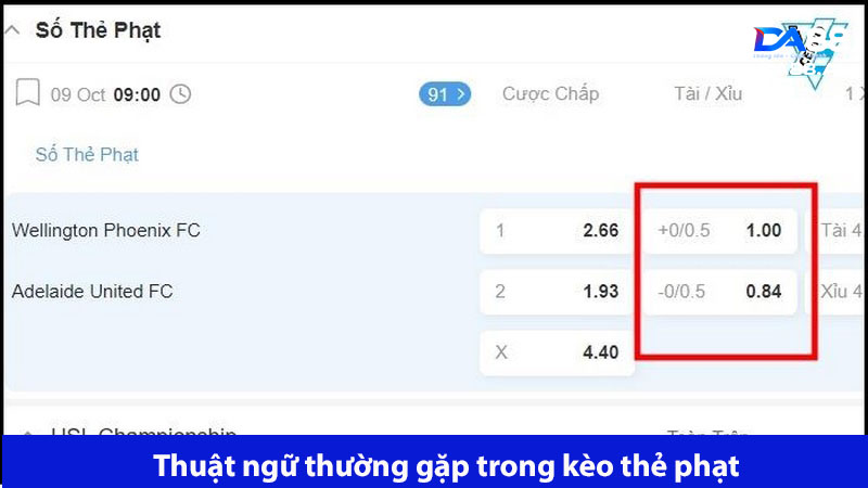 Tìm hiểu những thuật ngữ bet thủ thường gặp